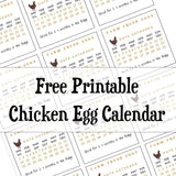 Free Chicken Egg Calendar