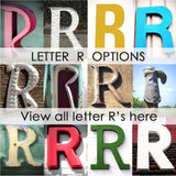 R Letter Choices - View all letter R's Here - Not for Purchase